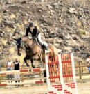 Aythami Pérez Cruz de La Manigua Horse Riding logra el subcampeonato de Canarias de salto de obstáculos